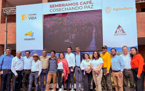 Banco Agrario apalancará $150 mil millones para renovación cafetera