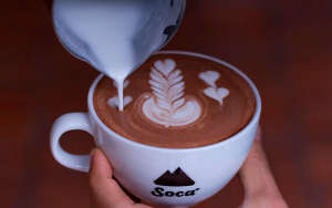 Soca, una espectacular familia del café con producto en China