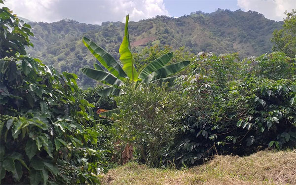 Paisaje Santa María, Huila