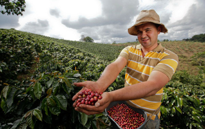 Caf&eacute; de Colombia despierta a 108 pa&iacute;ses con una joya expresada en taza