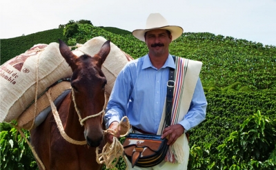El café recuperó su protagonismo en la economía: Vélez