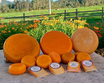 Queso colombiano HolaAndes, calificado como el mejor en Suiza