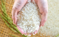 Diana, fidelización como arroz: Fue la marca más recordada en 2022