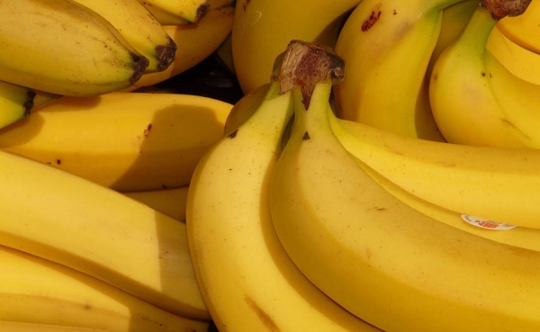 Exportaciones de banano hondureño suben 10,6 % en el tercer trimestre de 2015