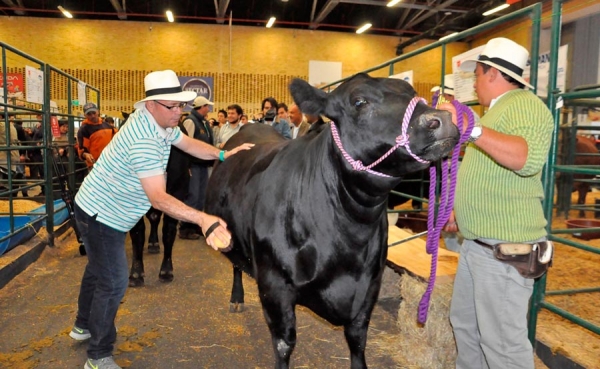 Agroexpo es una vitrina generadora de empleo