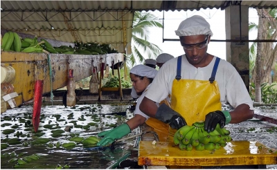 Juventud de Apartado disfruta de la paz con empleo e inclusi&oacute;n