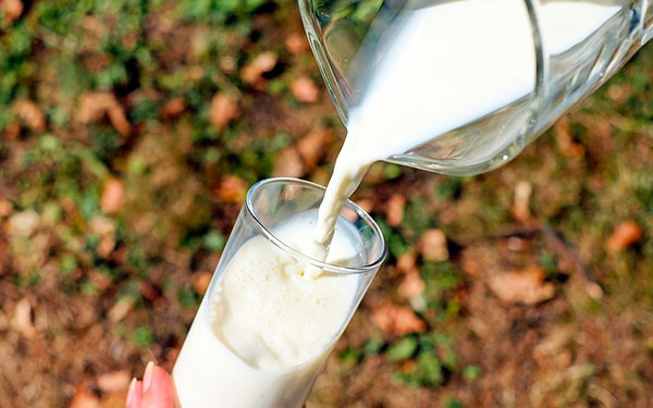 Costos de producción incrementaron precios de la leche: Analac