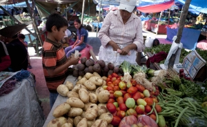 La agricultura familiar alimentará el planeta, según el Foro Rural Mundial