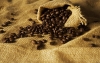 Mundo e industria podr&iacute;an quedarse sin caf&eacute;: G&oacute;mez Estrada