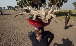 La FAO apuesta por sostenibilidad ante r&aacute;pido crecimiento del sector pesquero