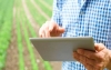 Internet, el nuevo y más eficaz escenario de subastas agropecuarias