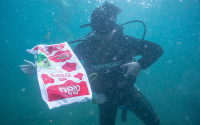 Productos pl&aacute;sticos de uso diario el martirio de los oc&eacute;anos