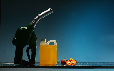 Biocombustibles modernos: Garant&iacute;as o salida de empresas que buscan invertir