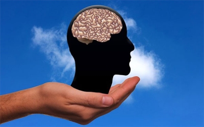 Usamos 10% del cerebro: ¿mito o realidad?