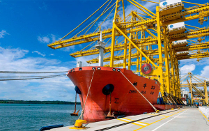 Zonas portuarias movieron en el primer semestre 85,1 millones de toneladas