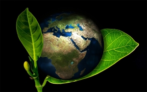 La Equidad Seguros, un mundo sostenible y verde