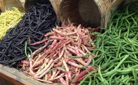 CONFIS aprob&oacute; reducci&oacute;n de aranceles para alimentos importados