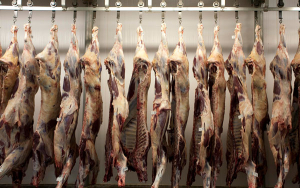 Greenpeace celebra ley que determina si la carne est&aacute; vinculada a deforestaci&oacute;n