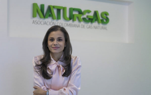 Gas, energético de transición y lucha contra el hambre y la pobreza: Naturgas