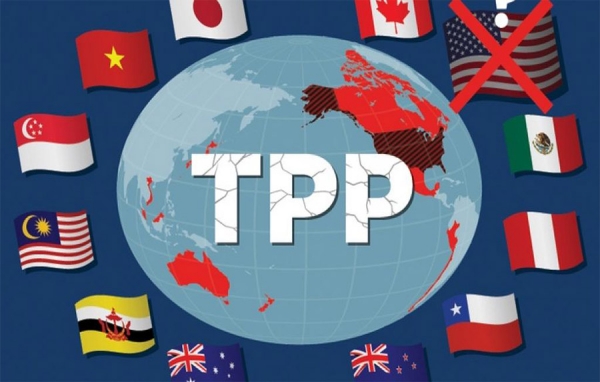 &ldquo;Al salir del Tratado Transpac&iacute;fico, EEUU deja el campo abierto para China"
