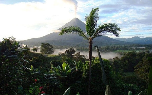 Centroam&eacute;rica deja el 2020 ambientalmente golpeada y m&aacute;s vulnerable
