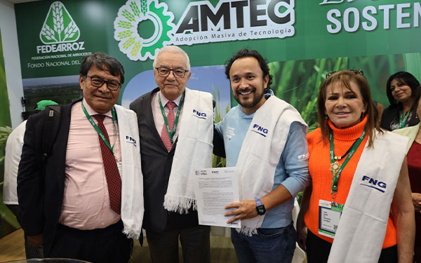 Con acceso al cr&eacute;dito v&iacute;a FNG aumentar&iacute;a siembra de arroz