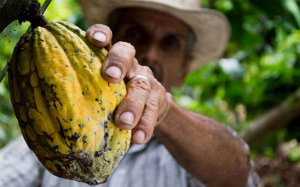 Contraloría destaca manejo del Fondo Nacional del Cacao