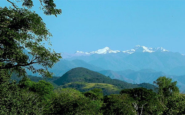 Caf&eacute; excelso de la Sierra Nevada, sin duda la mejor embajada: Sierra Santa