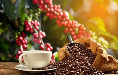 Historia excelsa de un caf&eacute; que marca: El compendio de Cundinamarca