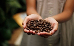 Programa de calidad sostenible AAA de Nespresso cumple 15 años