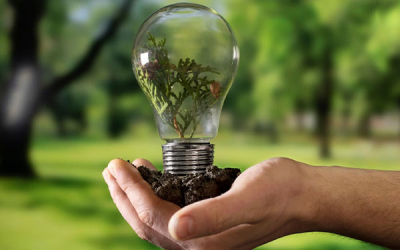 D&iacute;a Mundial de la Energ&iacute;a: consumo, clave para sostenibilidad empresarial
