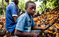 Chocolate esclavista en África: Europa se beneficia de trata infantil