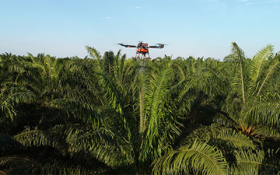 Tecnología, una necesidad en el campo: Del agricultor al agricul-DRON