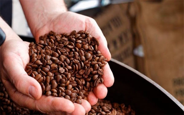 Confirmado: Caf&eacute; caucano de la paz gan&oacute; premio internacional