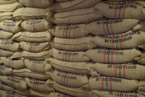Mercado cafetero en riesgo por bloqueos, productores llaman a la cordura