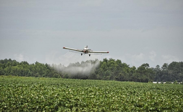 Colombia utilizará herbicida glifosato hasta que presidente Santos lo ordene