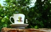 Retenci&oacute;n de caf&eacute; ser&iacute;a un alivio para los graves l&iacute;os de rentabilidad