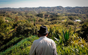 Colombia al borde de una hambruna por abandono del campo: Servigral