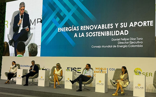 Redes el&eacute;ctricas, cuello de botella en derrotero renovable de Am&eacute;rica Latina