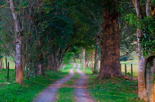 Nace “Colombia Progresa 2630”, hoja de ruta para el futuro socioeconómico