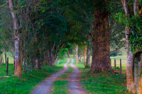 Nace “Colombia Progresa 2630”, hoja de ruta para el futuro socioeconómico