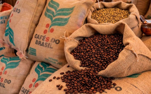Brasil: prev&eacute;n r&eacute;cord con m&aacute;s de 4 millones de toneladas de caf&eacute;
