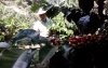 Santa Mar&iacute;a, un compendio de caficultura, trabajo y valent&iacute;a