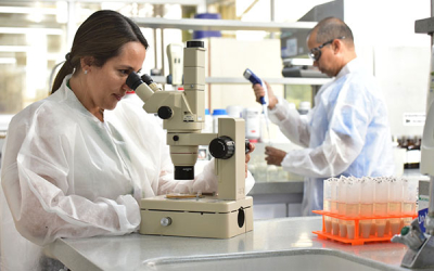 Citrato de magnesio, un ingrediente esencial con impacto global
