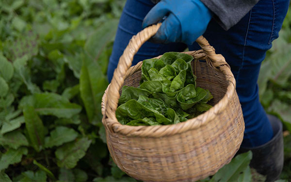 Colombia apuesta por sistemas agroalimentarios más equitativos y sostenibles