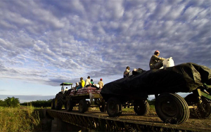 The Nature Conservancy: alianza por conservaci&oacute;n de tierras y ecosistemas
