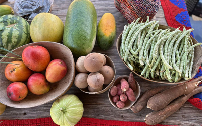 Agricultura sostenible mejora la seguridad alimentaria en el campo
