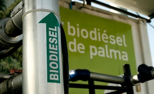 Medidas del Gobierno afectan producción de biocombustibles