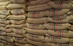 En septiembre la producción de café colombiano cayó 9%