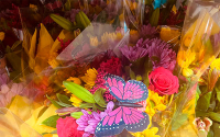 Logística, vital en exportación de flores colombianas en el día de la madre